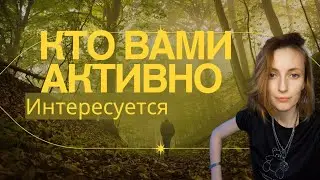 Кто вами активно интересуется 🤔❓️