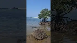 Karwar island