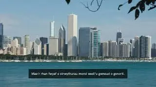 Ecologically Engineering Coastal Structures for Wildlife