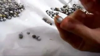 Semente de rosário para artesanato