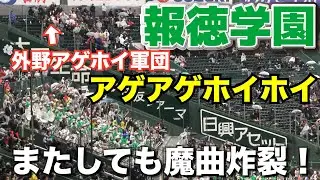 【センバツ高校野球】報徳学園の魔曲が大阪桐蔭を圧倒！！アゲアゲホイホイが流れると何かがおきる！外野アゲホイ軍団本日も参戦！！ブラバン応援　高校野球応援　2024.3.28