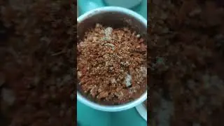 yumm barbeque #easy #foryou #food#viral#fouyoupage #deliciousfood #cooking