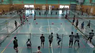 2025 NSWDL R11 Mixed Div 2: Double Bay Dragonites vs Ultimo Falcons