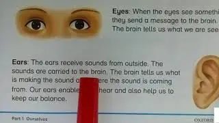 New Oxford Primary Science for Class 3 by Nicholas Horsburgh, Ch: 1 The Human Body,  Lesson 1