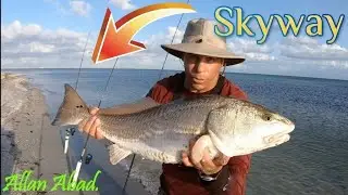 MI MEJOR PESCA DEL 2023 EN LA BAHIA DE TAMPA (7 CORVINAS ROJAS POR ENCIMA DEL LIMITE) \\Allan Abad