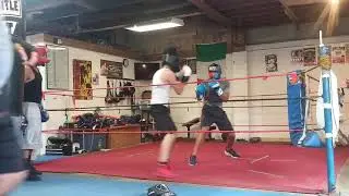 NEXTLEVELBOXING.   (SPARRING)