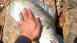 BEACH FISHING|SURF FISHING IM SRILANKA 🇱🇰 #surffishing #tamilfishing #beachfishing #srilankafishing
