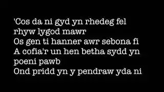 Sebona Fi Eisteddfod Ysgol