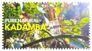 🌼 WHAT DOES KRISHNA&rsquo;S FAVORITE FLOWER SMELL LIKE? 💙 ATTAR KADAMBA REVIEW ✨