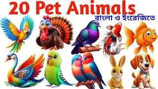 Learn Pet Animals Name in English | 20 Domestic Animals for Kids with Pictures