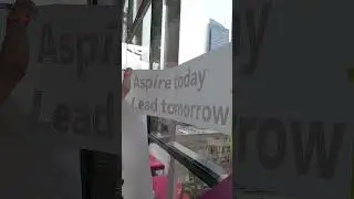 Vinyl on Glass 56 #satisfying #oddlysatisfying #vinylapplication #shorts #installation #signs