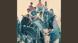 Solo Como Amigos
