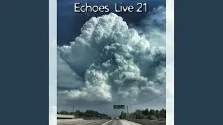 Zenlike Creature (Live On Echoes) (Live)