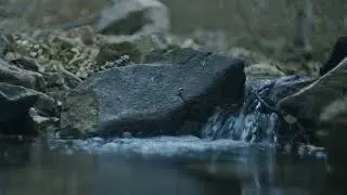 ​Zen Waterfall Sound Bath 🧘&zwj;♂️ (90 Min) - Perfect for Deep Sleep 🛌 & Study Focus 🧠