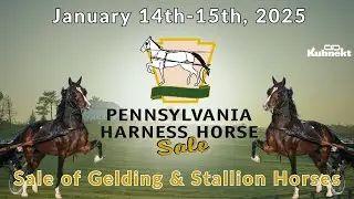 Sale of All Harness Horse Gelding & Stallion Consignments - 2025 Pennsylvania Harness Horse Sale