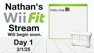 Wii Fit Day 3