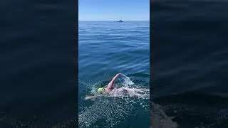 SWIM The English Channel #swim #adventure