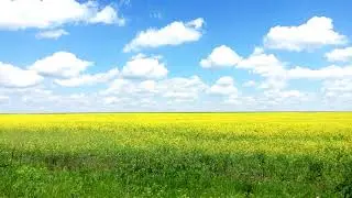 #05 Relaxing Sun Field Piano - Alexander Chekmarev - Tonality Circle - Db Major