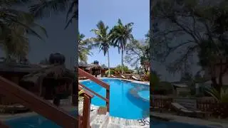 Задний двор Большой Милли, Кокробите