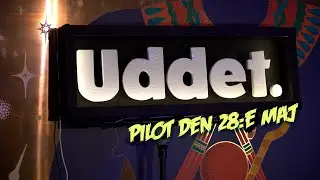 Uddet 28maj PILOT