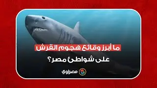 بعد حادث الغردقة.. ما أبرز وقائع هجوم القرش على شواطئ مصر؟