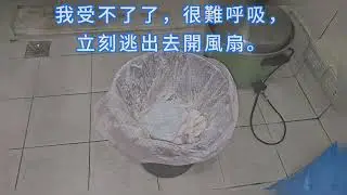 2026.1.21 科學實驗 除濕包的生石灰打開後會怎樣？