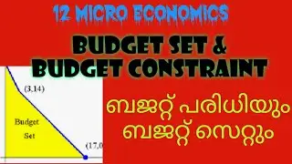 BUDGET CONSTRAINT #  BUDGET SET # CONSUMPTION BUNDLE
