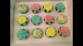 balabusta - cupcakes