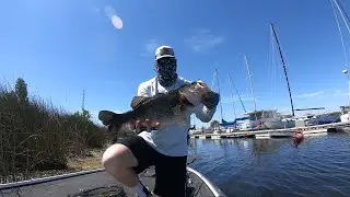 My Top 5 Bed Fishing Baits