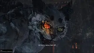 Nioh 18th Fight - Nuc and White Tiger
