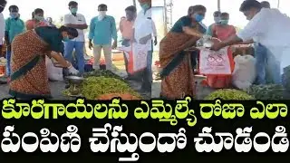 YSRCP MLA Roja Selling Vegetables | MLA Roja Donate Vegetables | Indiontvnews