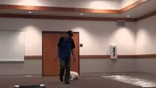 Nikki (White German Shepherd) Advanced Obedience Training video