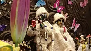 श्री राधा रमण लाल जू दर्शन अभिषेक 💐🚩