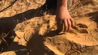 Bombed islands cleaned up