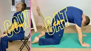 Cat Cow Stretch - Pose - Great For Back Pain!