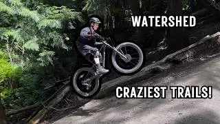 Top 5 CRAZIEST trails at Delta Watershed! | Mountain Biking Blue and Black trails