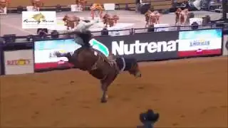 Cort Scheer &ndash;&nbsp;Saddle Bronc - WinngRun &ndash; Sun-Feb-25