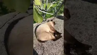Guerra? O que &eacute; isso? Loucuras de humanoides?