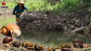 Natural life skill: Find Oysters and Snails to Cook for Food