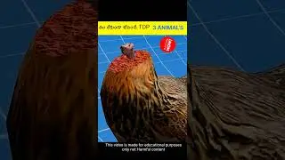 These three animals can live even without a head. Interesting facts #shorts #youtubeshorts #viral...