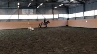 Ronya - Hoppning