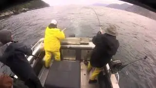 Queen Charlotte Safaris Fishing Derby 2015