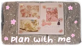 February plan with me | sakura theme | bullet journal 🌸