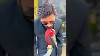 Arif aur saras ki dosti #shorts