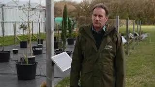 Why go peat free? | Royal Horticultural Society