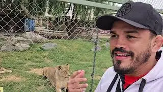 Na jaula com os leões 😱🦁 e segurei uma Pyton nas mãos 😱🐍