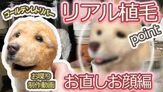 【羊毛フェルト造形】初心者さんでもデキル！リアル植毛ポイントを抑えながら紹介（私の場合）使用羊毛も紹介します