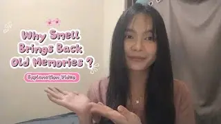 Why Smell Bring back Old Memory?