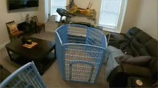 Amazon com   IRIS USA Dog Playpen, Exercise Pet Playpen with Door, 4 Panel, 24  H, White   Pet Suppl