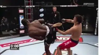 Best Vine knockout